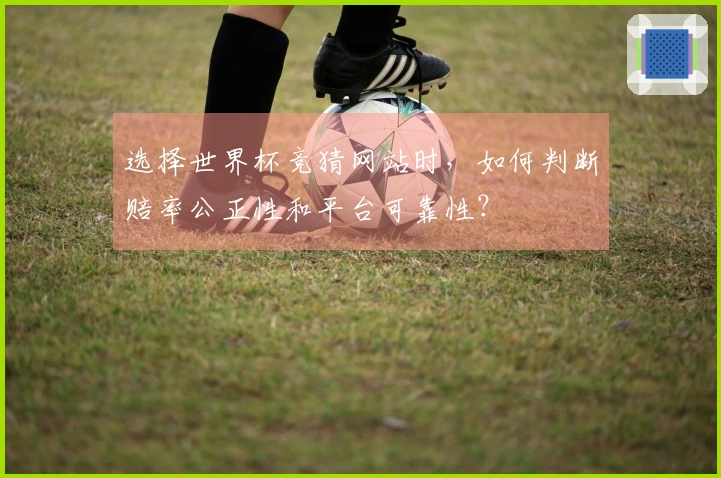 选择世界杯竞猜网站时，如何判断赔率公正性和平台可靠性？