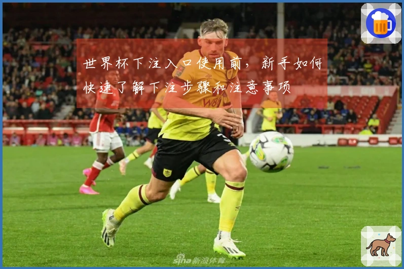 世界杯下注入口使用前，新手如何快速了解下注步骤和注意事项