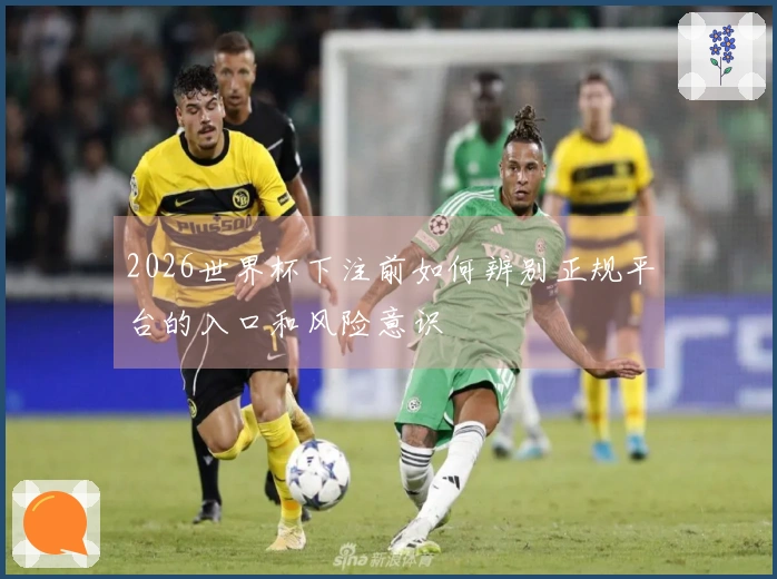 2026世界杯下注前如何辨别正规平台的入口和风险意识
