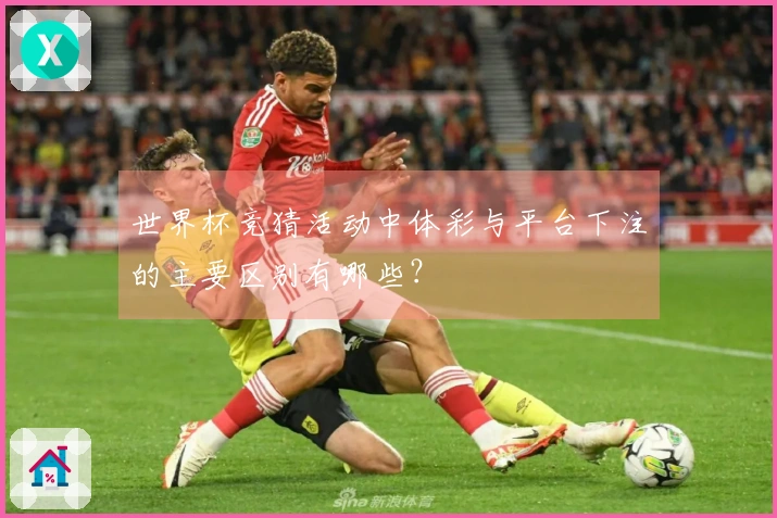 世界杯竞猜活动中体彩与平台下注的主要区别有哪些？