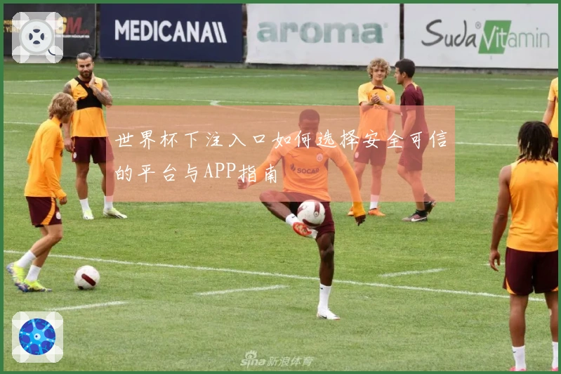 世界杯下注入口如何选择安全可信的平台与APP指南