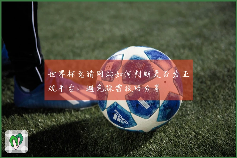 世界杯竞猜网站如何判断是否为正规平台，避免踩雷技巧分享