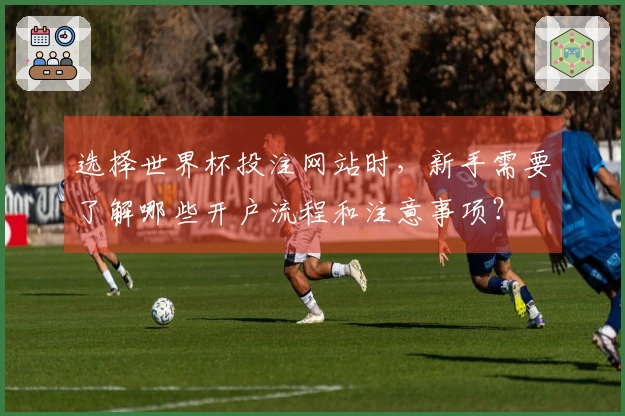 选择世界杯投注网站时，新手需要了解哪些开户流程和注意事项？
