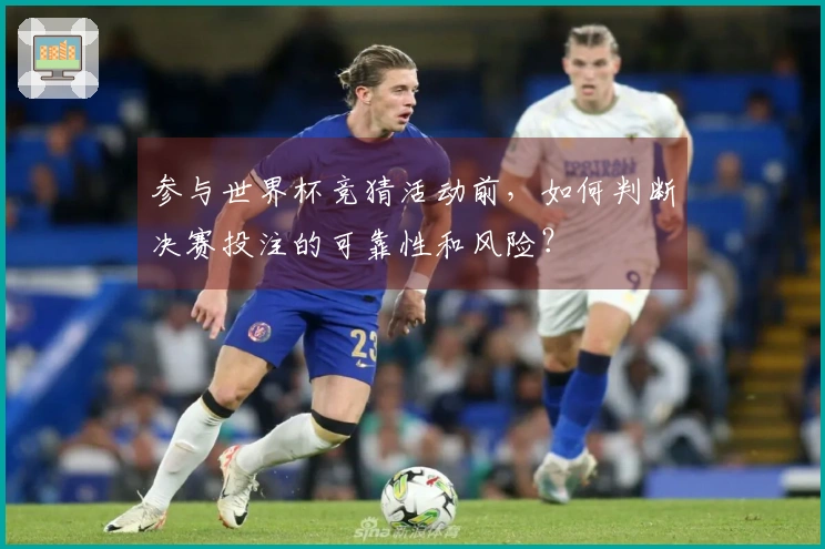 参与世界杯竞猜活动前，如何判断决赛投注的可靠性和风险？