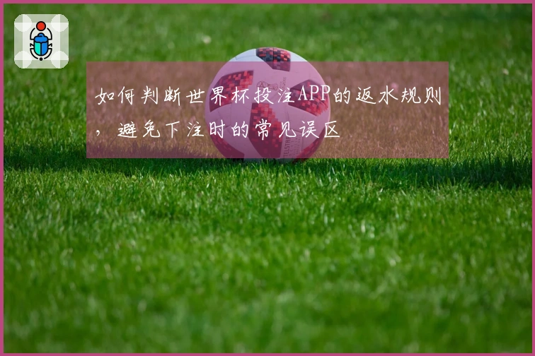 如何判断世界杯投注APP的返水规则，避免下注时的常见误区