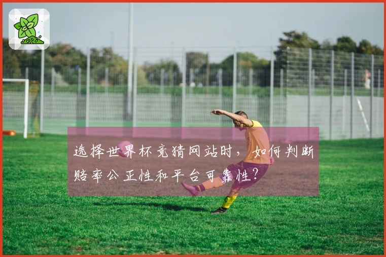 选择世界杯竞猜网站时，如何判断赔率公正性和平台可靠性？
