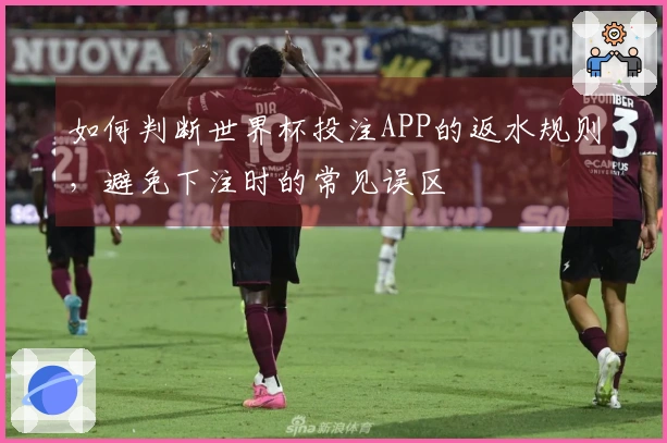 如何判断世界杯投注APP的返水规则，避免下注时的常见误区