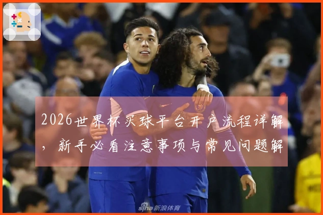 2026世界杯买球平台开户流程详解，新手必看注意事项与常见问题解答