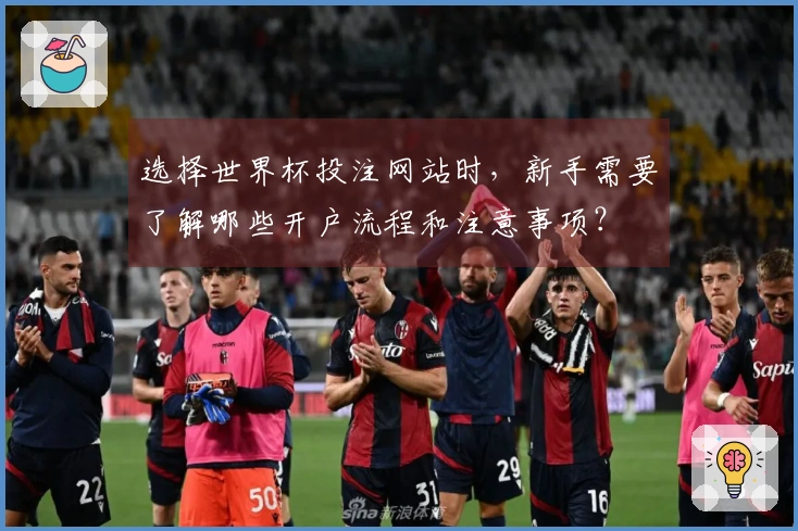 选择世界杯投注网站时，新手需要了解哪些开户流程和注意事项？
